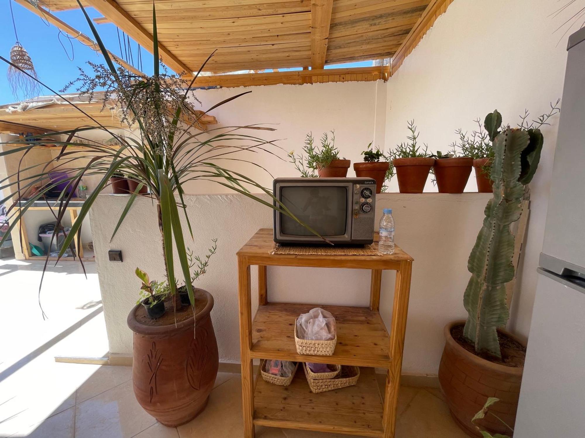 Jungle Surf House Hostel Taghazout Εξωτερικό φωτογραφία