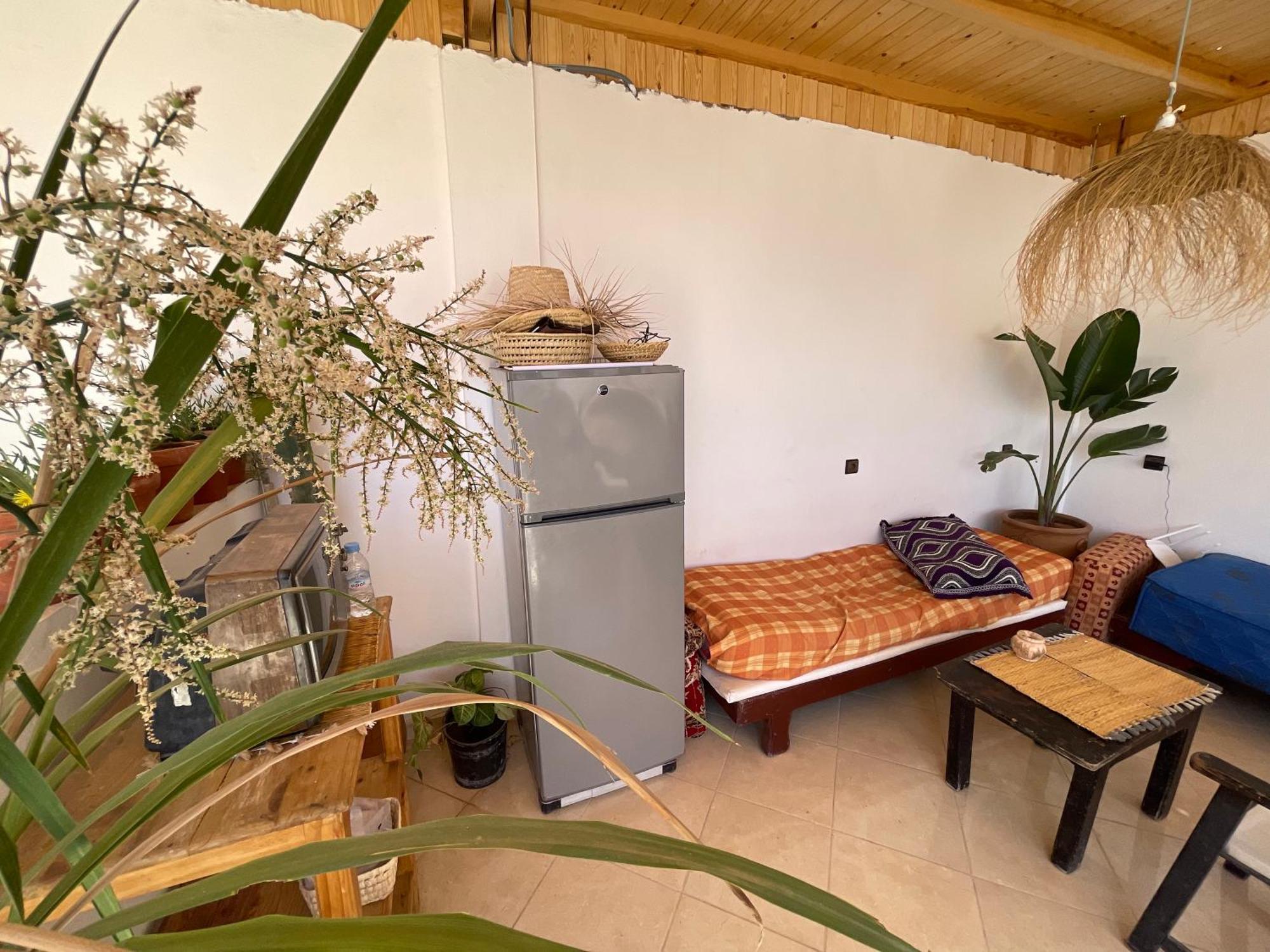 Jungle Surf House Hostel Taghazout Εξωτερικό φωτογραφία